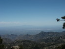 photo thumbnail #2
