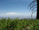 photo thumbnail #10