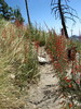 photo thumbnail #14