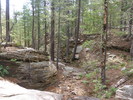 photo thumbnail #4