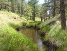 photo thumbnail #8