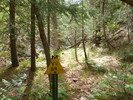 photo thumbnail #11