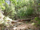 photo thumbnail #13