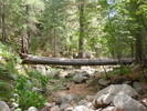 photo thumbnail #14