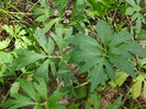 photo thumbnail #15