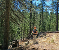 photo thumbnail #2