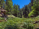 2014-06-29 :1: Barbershop Cyn Upper - Merritt Draw Upper Loop :: tibber
