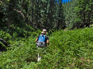 2014-06-29 :1: Barbershop Cyn Upper - Merritt Draw Upper Loop :: tibber