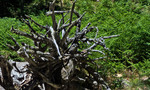photo thumbnail #13