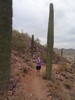 photo thumbnail #2