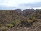 photo thumbnail #2
