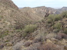 photo thumbnail #9