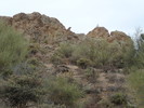 photo thumbnail #11