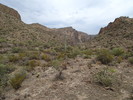 photo thumbnail #12