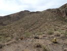 photo thumbnail #14
