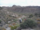 photo thumbnail #3