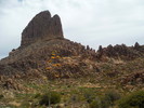 photo thumbnail #8