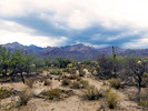 photo thumbnail #1