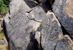 photo thumbnail #6