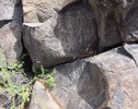 photo thumbnail #7