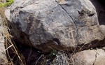 photo thumbnail #13