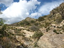 photo thumbnail #6