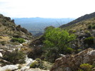 photo thumbnail #7