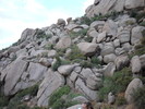 photo thumbnail #8