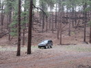 photo thumbnail #1