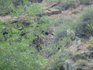 photo thumbnail #3