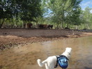 photo thumbnail #4