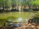 photo thumbnail #11