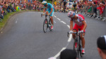 photo thumbnail #13