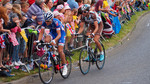 photo thumbnail #14