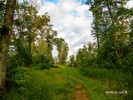 photo thumbnail #3