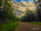 photo thumbnail #9