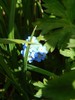 photo thumbnail #15