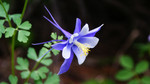 photo thumbnail #5