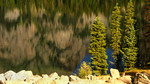 photo thumbnail #15