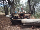 photo thumbnail #14