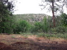 recent photo