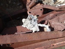 photo thumbnail #5