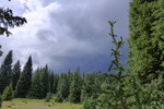 photo thumbnail #11