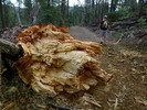 photo thumbnail #1