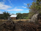 photo thumbnail #6