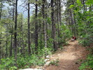 photo thumbnail #10