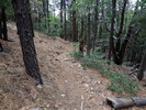 photo thumbnail #11