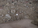 photo thumbnail #12