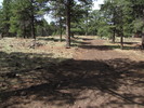 photo thumbnail #1