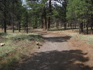 photo thumbnail #10